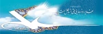 هفته ولایت گرامی باد 2