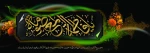 وفات حضرت معصومه(س) 2