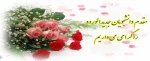 جدیدالورود96 2