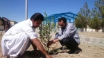 روز درختکاری 4