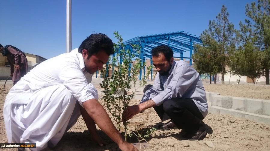 روز درختکاری 4