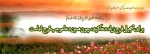 نیمه شعبان 3