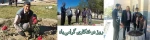 روز درختکاری 2