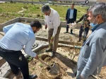 15 اسفند، روز درختکاری و آغاز هفته منابع طبیعی مبارک باد 2