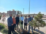 15 اسفند، روز درختکاری و آغاز هفته منابع طبیعی مبارک باد 3