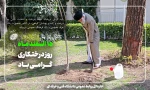 15 اسفند، روز درختکاری و آغاز هفته منابع طبیعی مبارک باد 4
