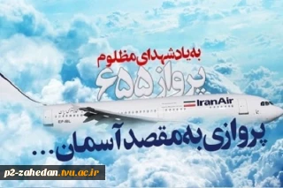 به یاد مظلومیت شهدای پرواز ۶۵۵ و توحش آمریکایی