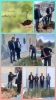 کاشت درخت به مناسب روز درختکاری توسط ریاست ،کارکنان و اساتید آموزشکده.  2