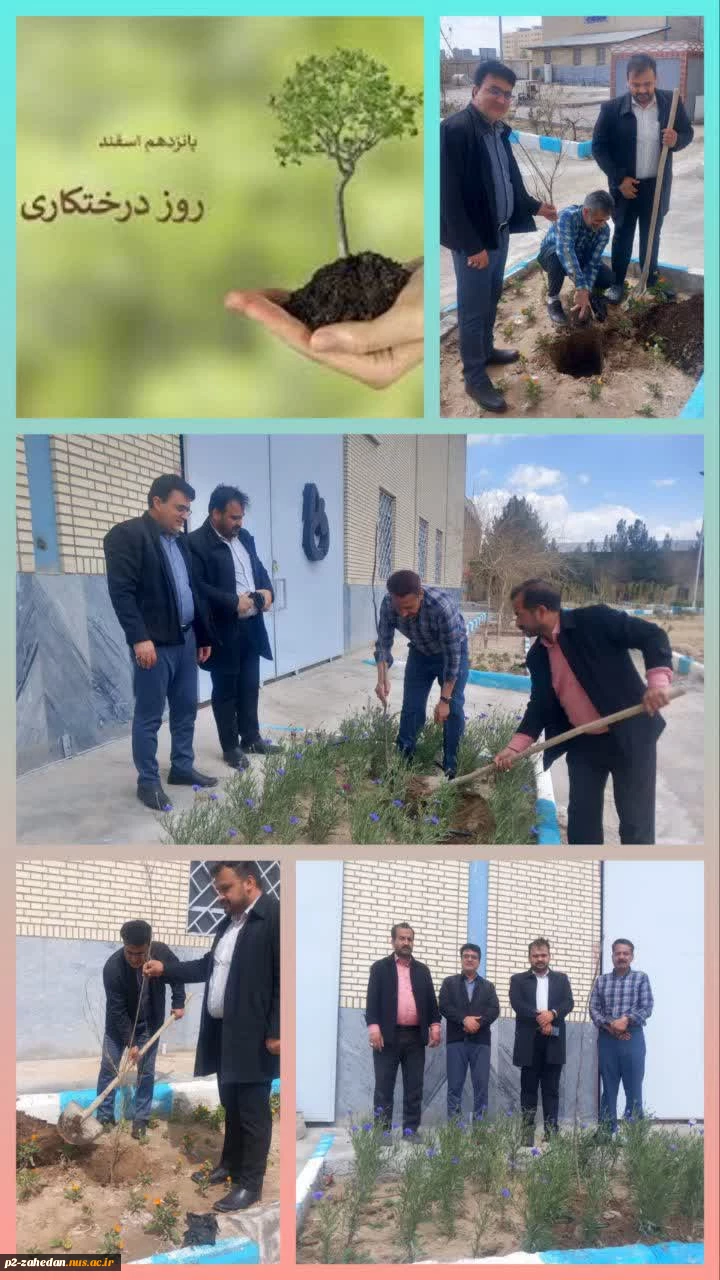 کاشت درخت به مناسب روز درختکاری توسط ریاست ،کارکنان و اساتید آموزشکده.  2