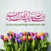 پیام رئیس دانشگاه ملی مهارت واحد استانی سیستان وبلوچستان به مناسبت 