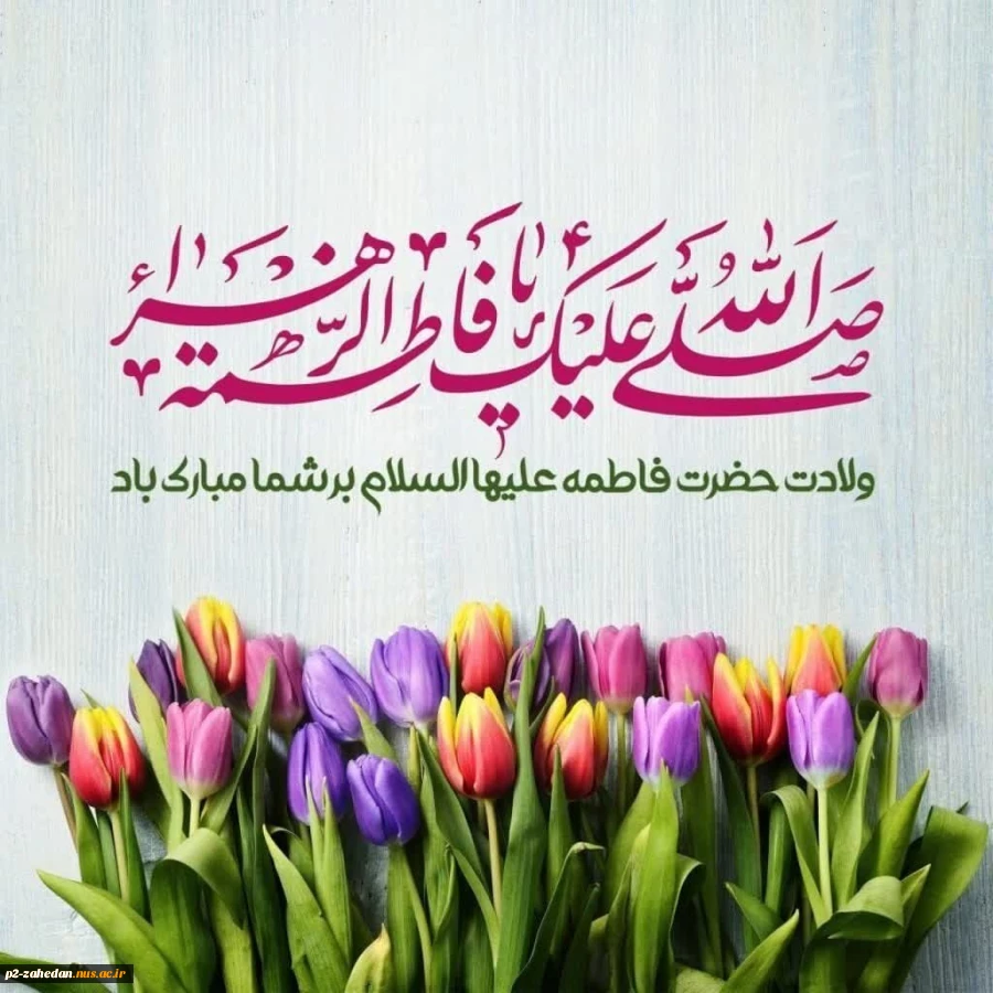 پیام رئیس دانشگاه ملی مهارت واحد استانی سیستان وبلوچستان به مناسبت "میلاد حضرت زهرا (س) و روز زن" 2