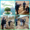 کاشت نهال به مناسبت روز درختکاری در  آموزشکده شهید عارفی 
 2