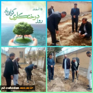 کاشت نهال به مناسبت روز درختکاری در  آموزشکده ملی مهارت شهید عارفی