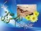 #تبریک 
#ولادت_کریم_اهل_بیت 
#امام_حسن_مجتبی_ع